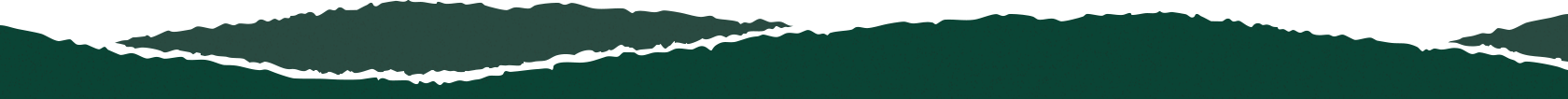 wave-dark-green