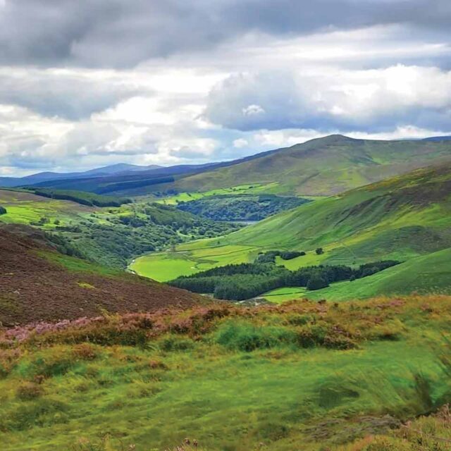 Sally Gap, Wild Wicklow Tours.