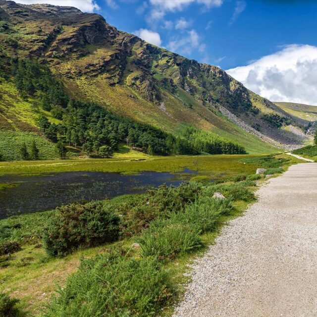 Glendalough trail in Wicklow mountains.