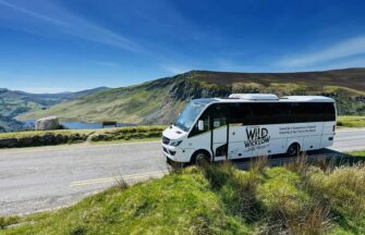 Wild Wicklow Tours Gift Cards.