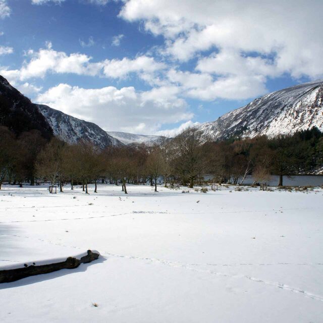 Winter in Glendalough, Wicklow Mountains.