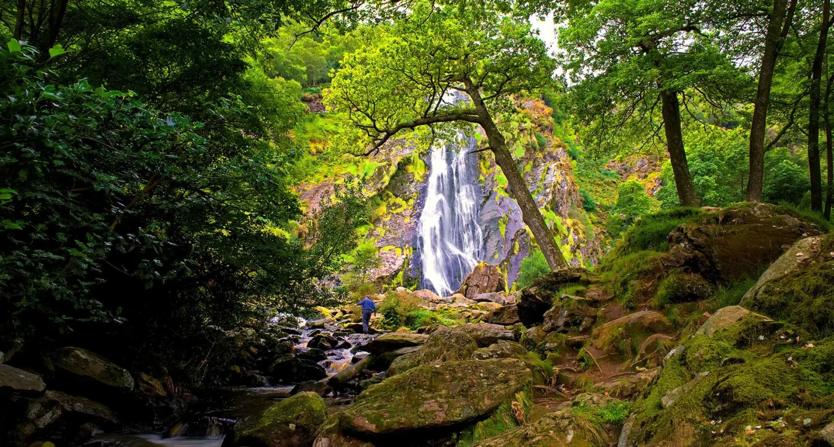 Powerscourt Waterfall, Wicklow Mountains.
