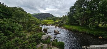 a path with trees on the side of a river